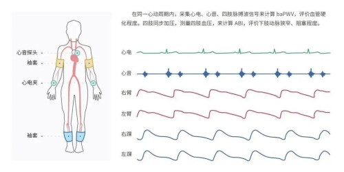 監測部位